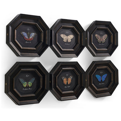 Jonathan Charles Wings of Discovery - Set of 6