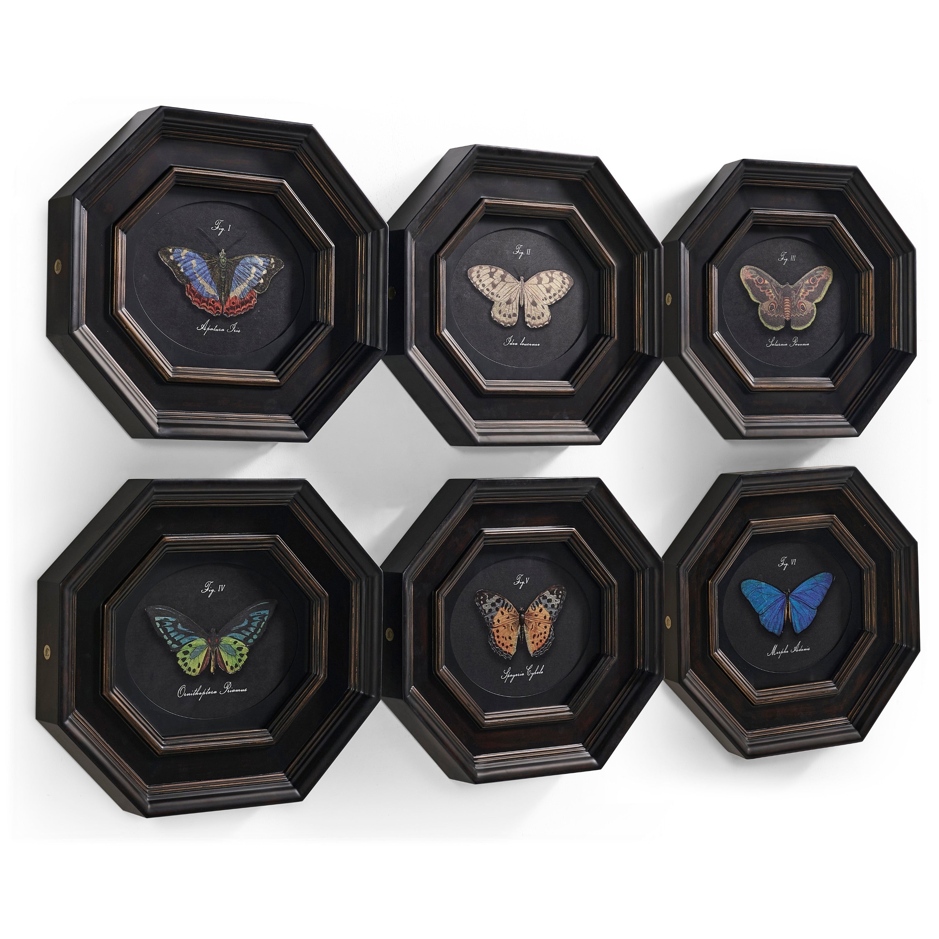 Jonathan Charles Wings of Discovery - Set of 6