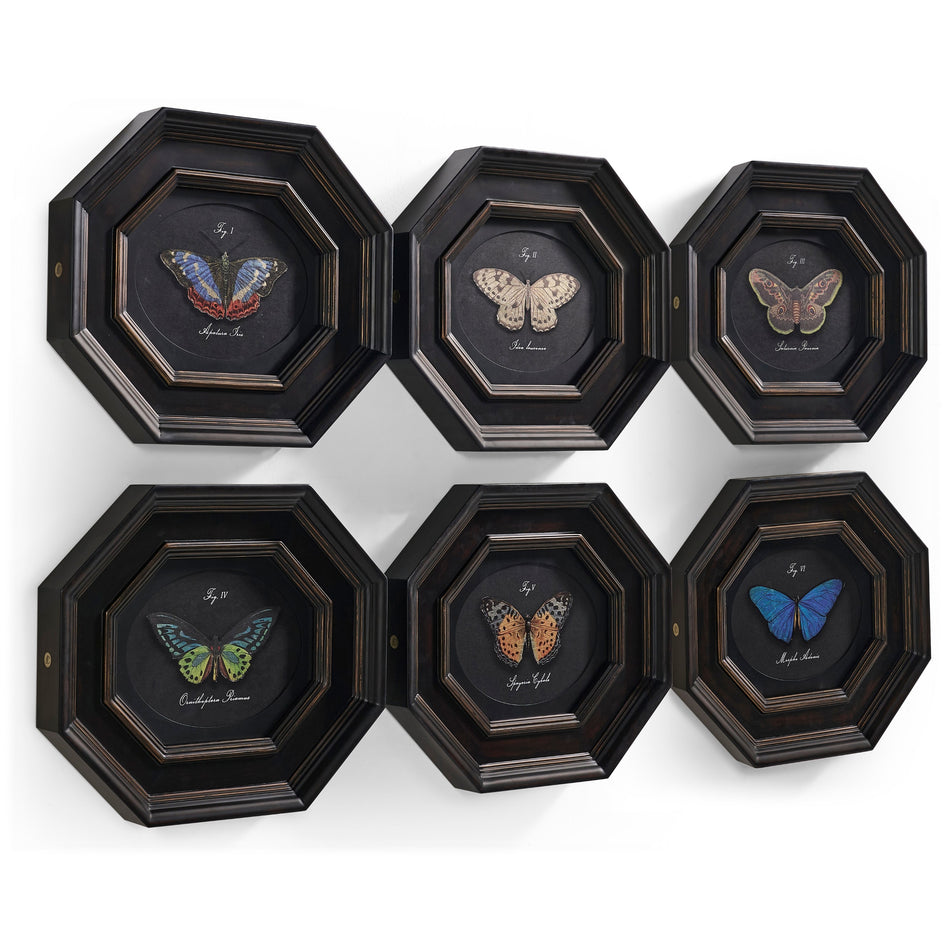 Jonathan Charles Wings of Discovery - Set of 6