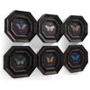 Jonathan Charles Wings of Discovery - Set of 6