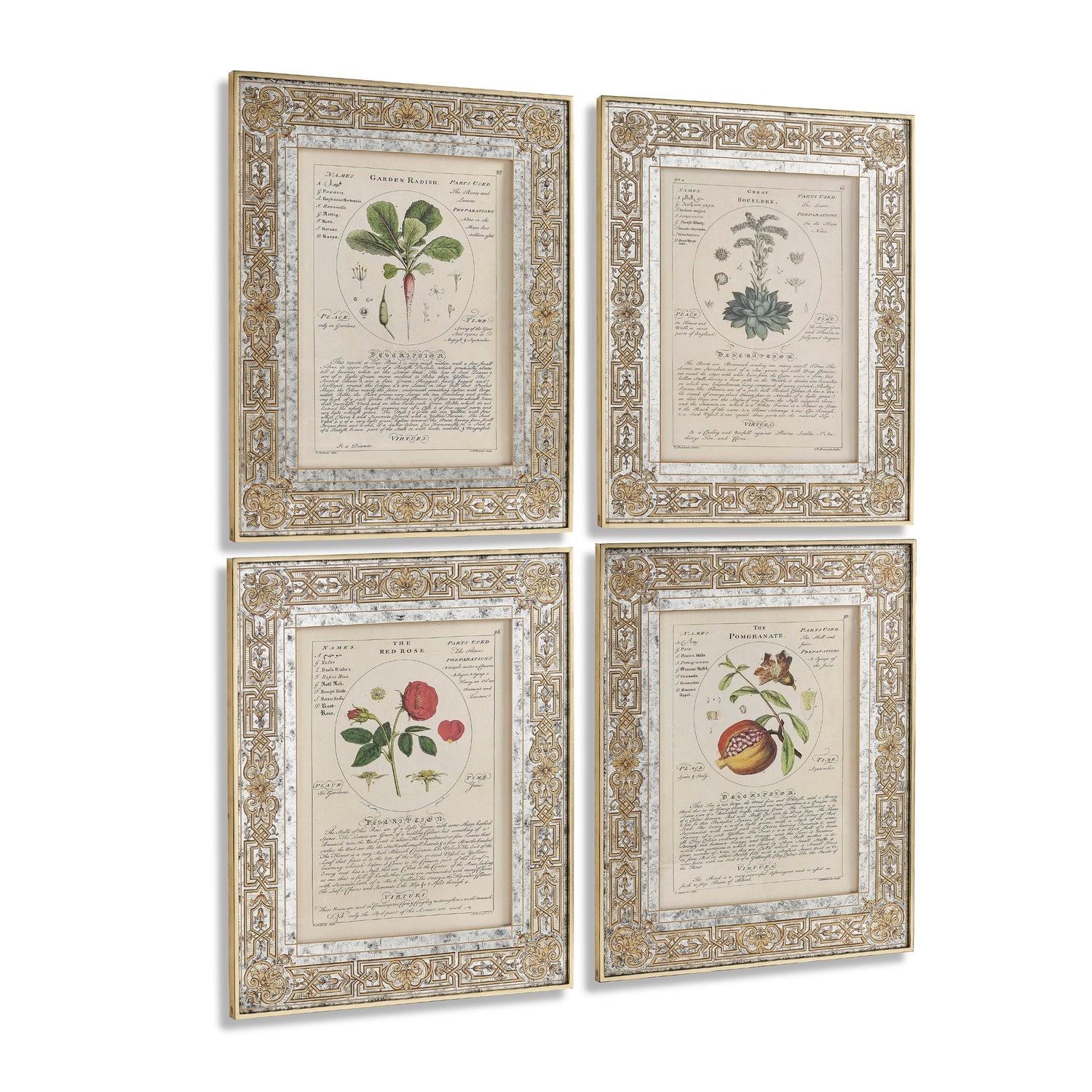 Jonathan Charles Herbal of Enlightenment - Set of 4