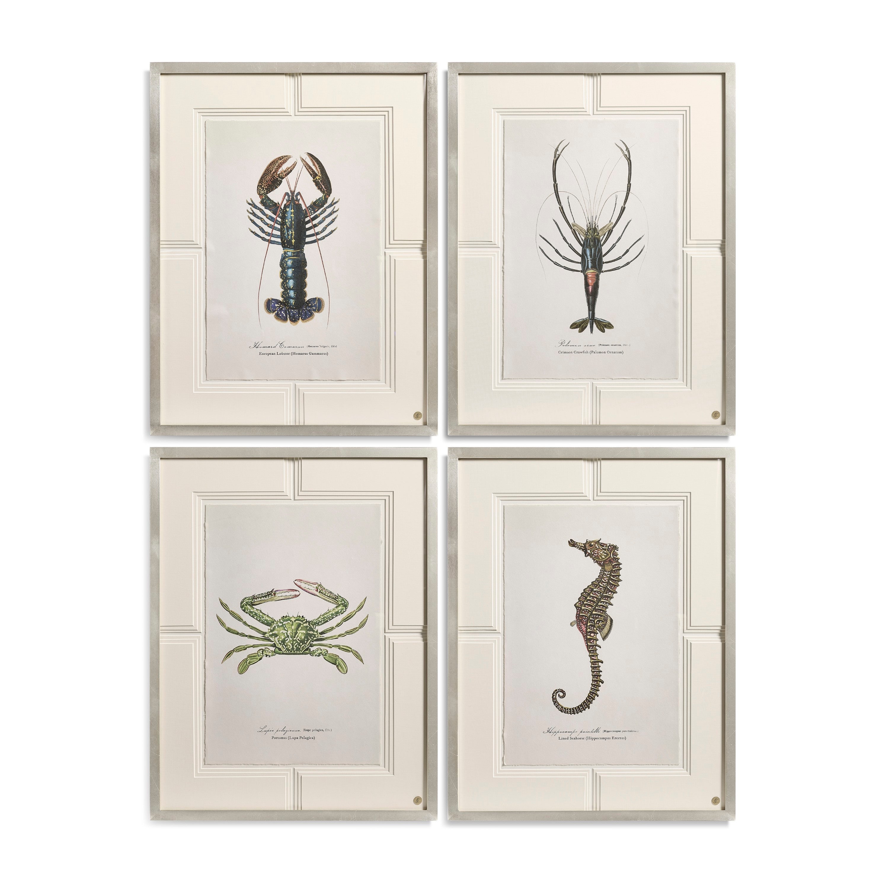 Jonathan Charles Vintage Marine Animals - Set of 4