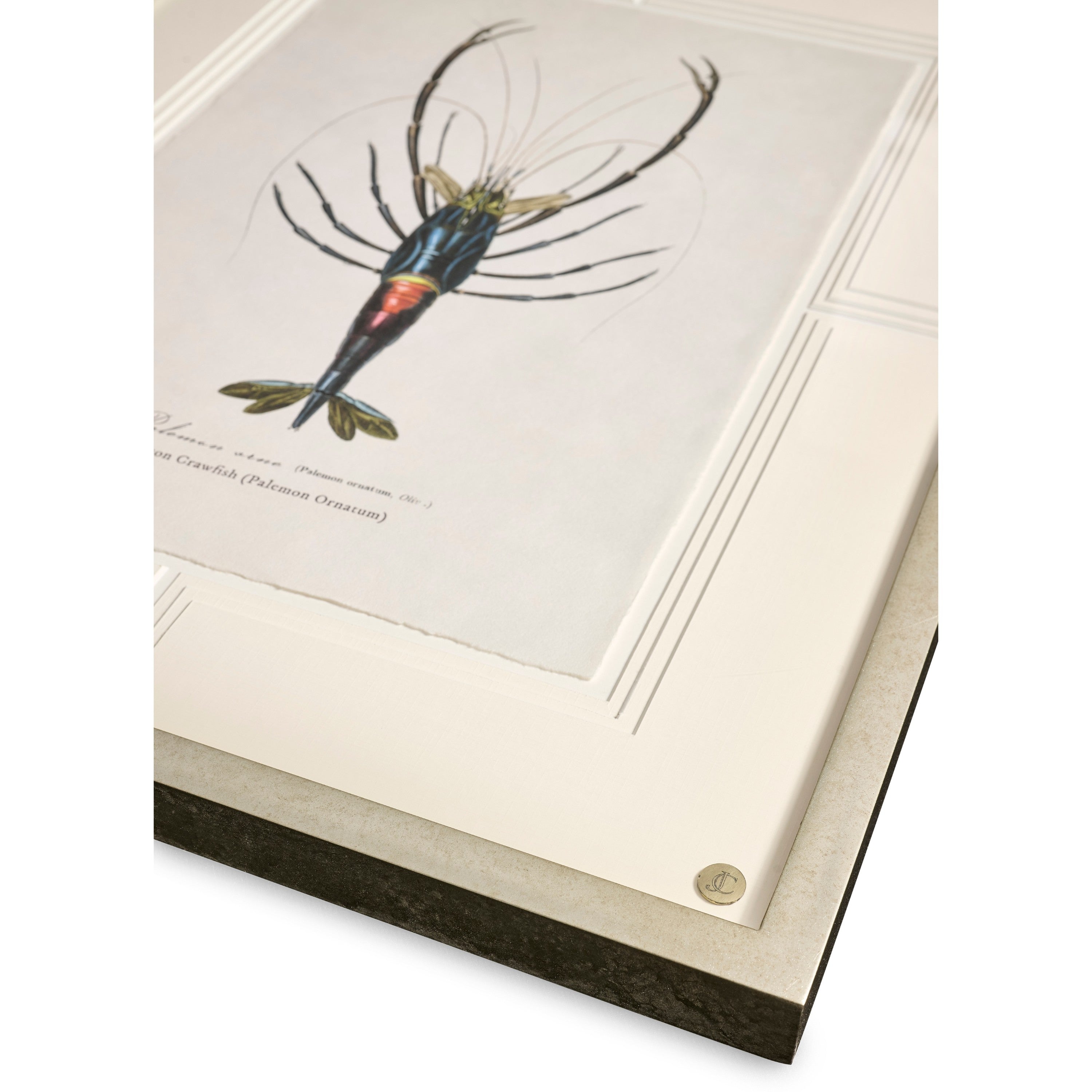 Jonathan Charles Vintage Marine Animals - Set of 4