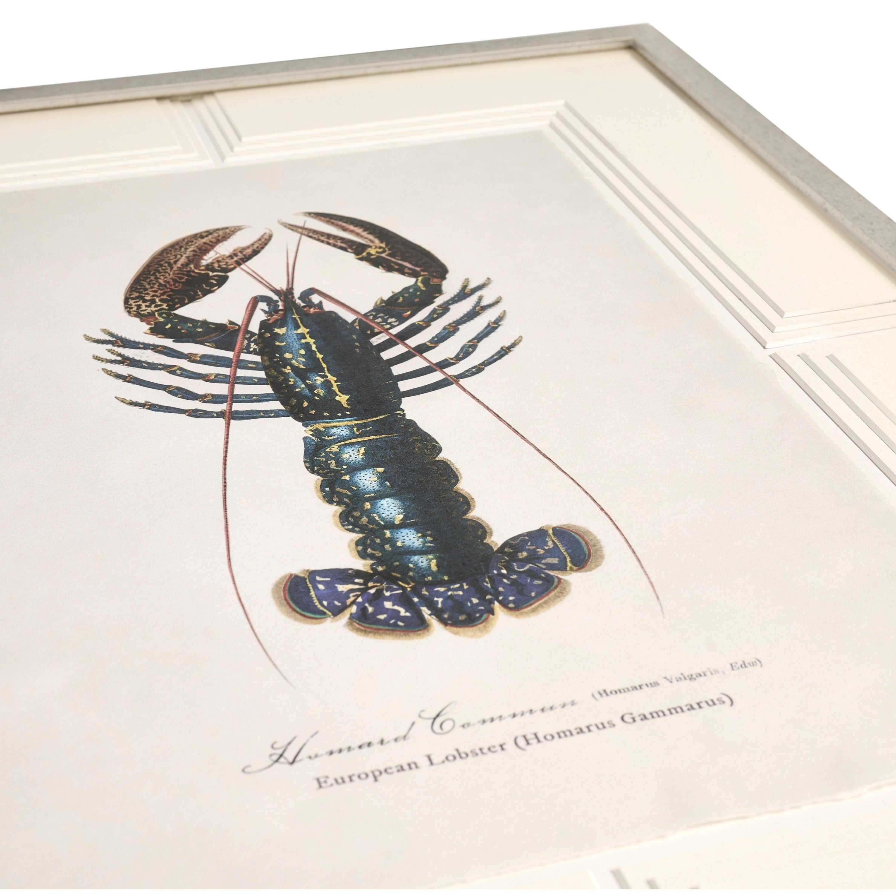 Jonathan Charles Vintage Marine Animals - Set of 4