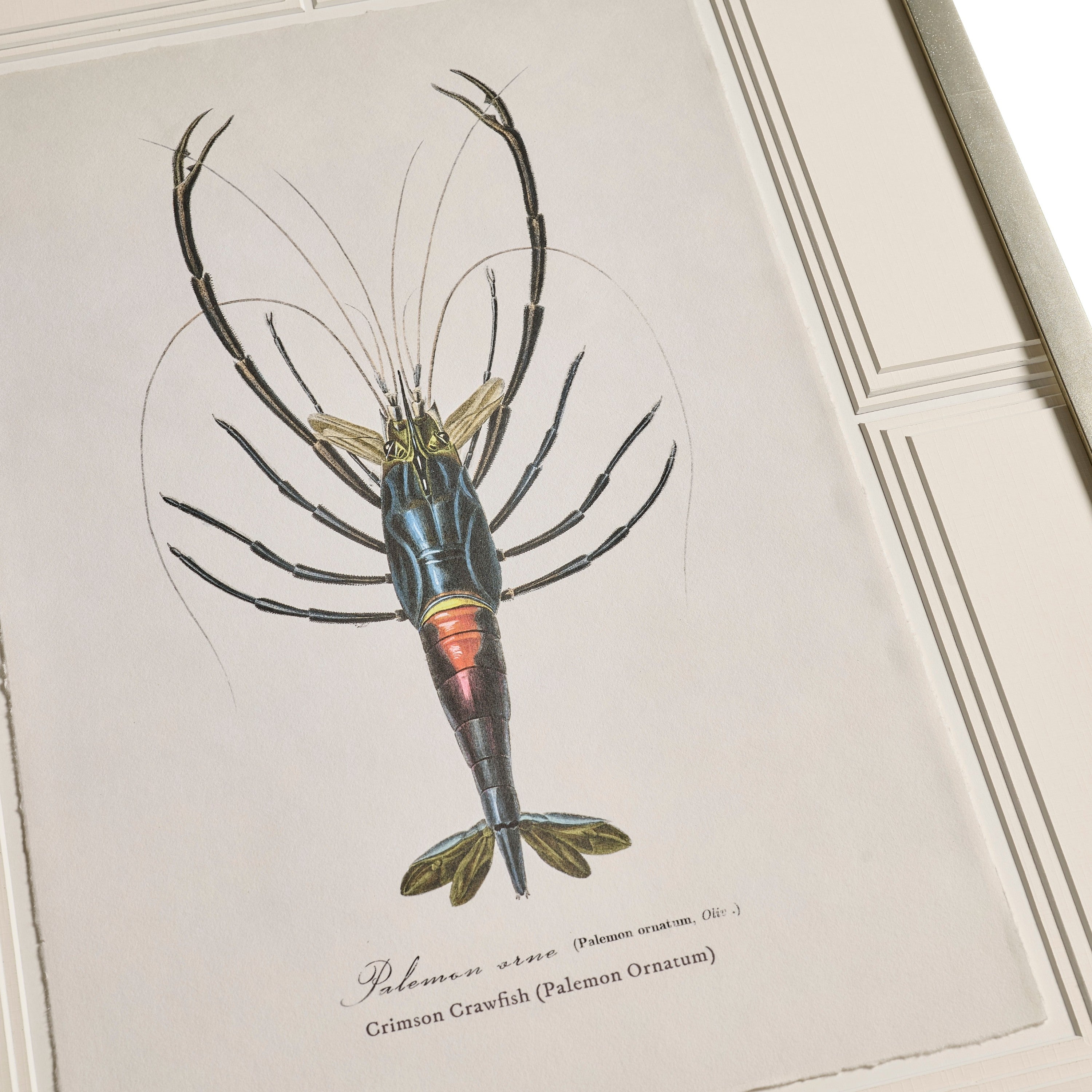 Jonathan Charles Vintage Marine Animals - Set of 4