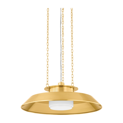 Hudson Valley Lighting Woodrow 1 Light 22 inch Pendant Ceiling Light