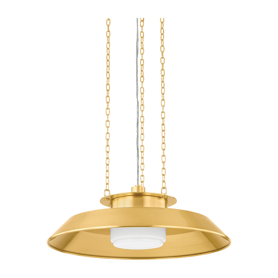 Hudson Valley Lighting Woodrow 1 Light 22 inch Pendant Ceiling Light