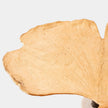 Global Views Ginkgo Leaf Side Table