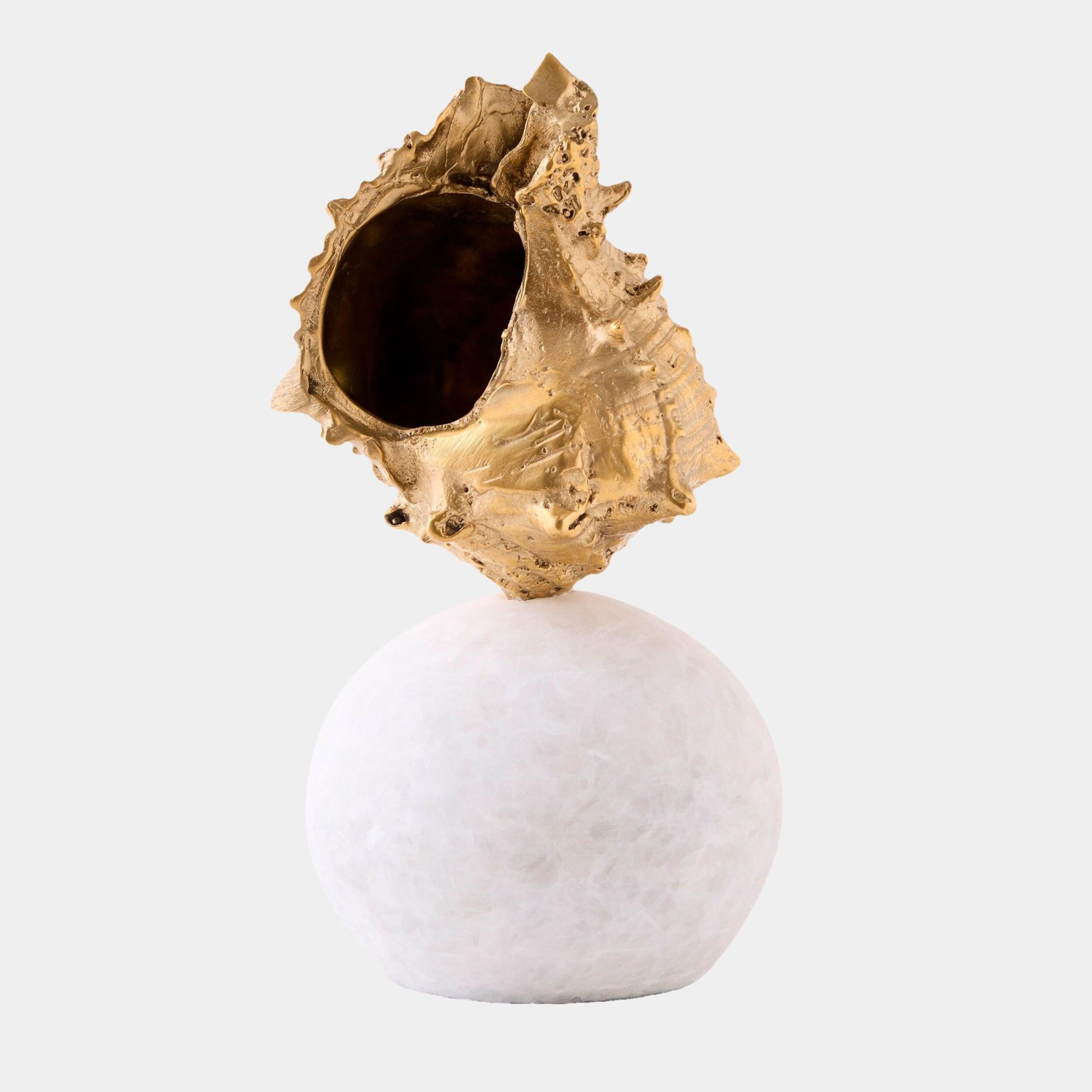 Global Views Kings Crown Shell Sculpture