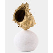Global Views Kings Crown Shell Sculpture