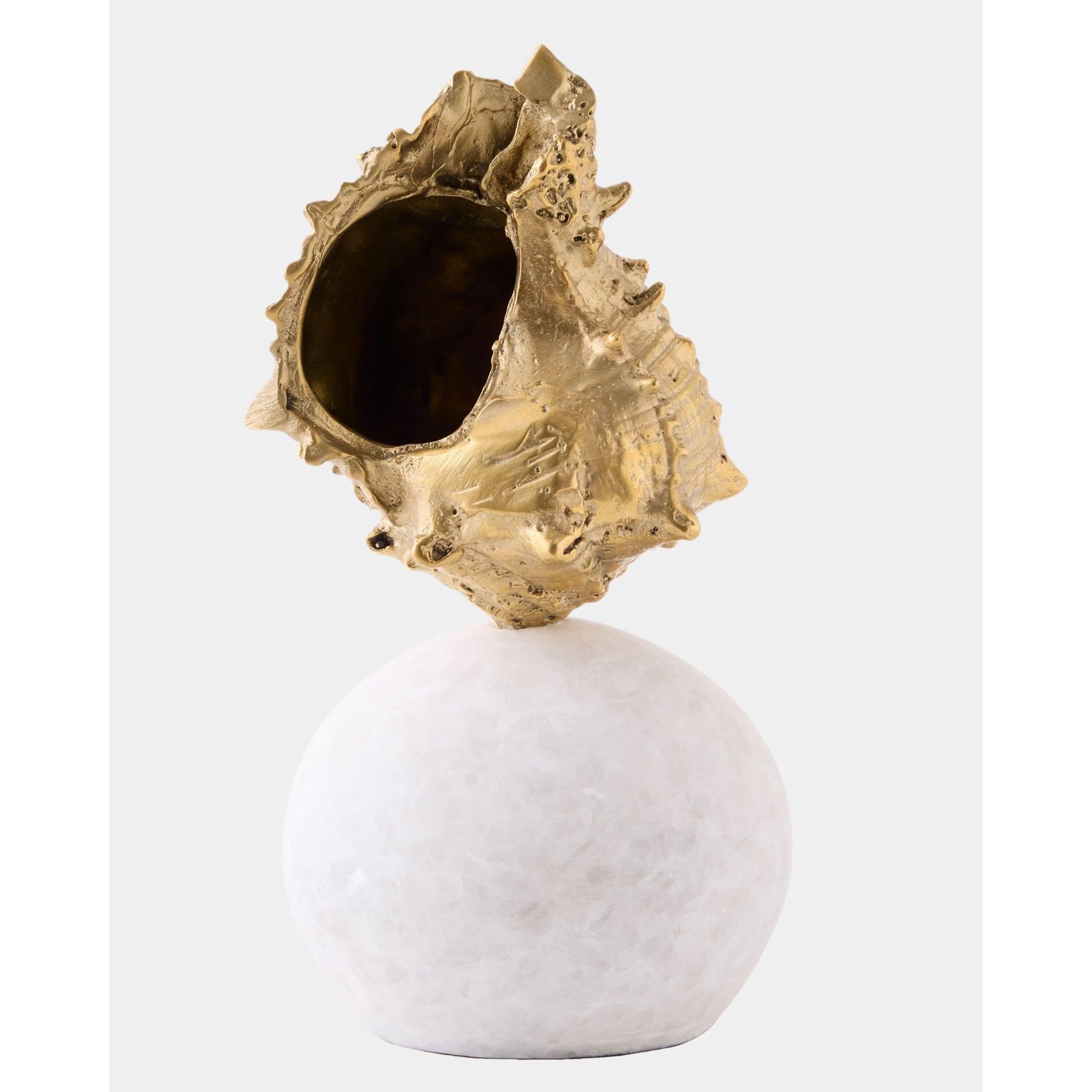 Global Views Kings Crown Shell Sculpture