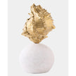 Global Views Kings Crown Shell Sculpture