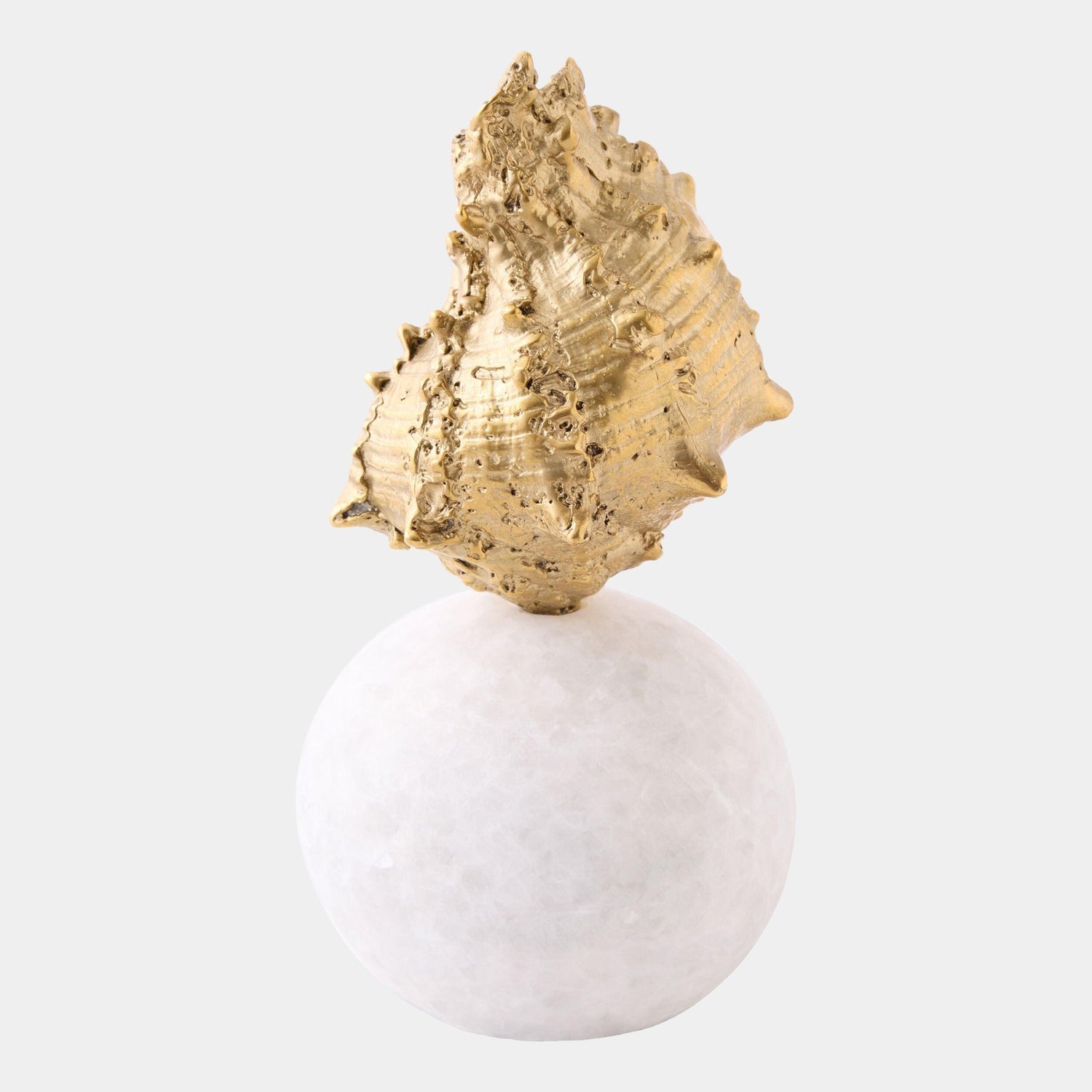 Global Views Kings Crown Shell Sculpture