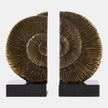 Global Views Ammonite Shell Bookends