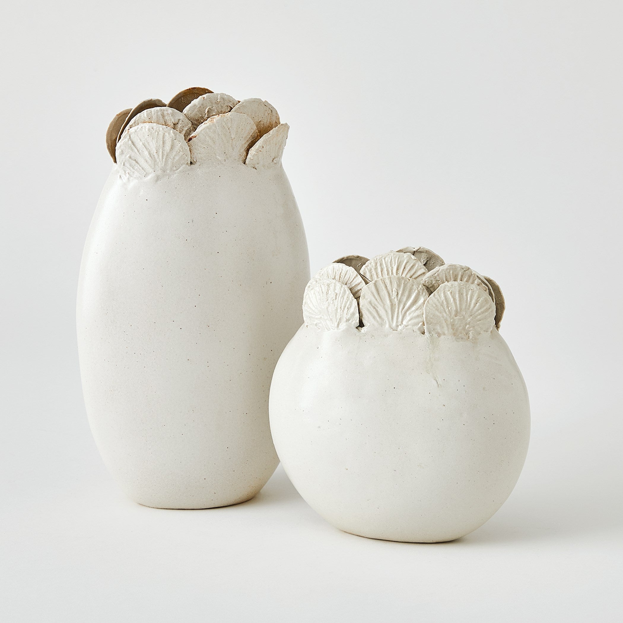 Global Views Sand Dollar Vase