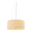 Hudson Valley Lighting Ashland 4 Light Pendant Ceiling Light