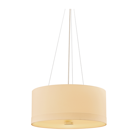Hudson Valley Lighting Ashland 4 Light Pendant Ceiling Light