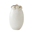 Global Views Sand Dollar Vase