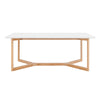 Euro Style Aren Rectangle Table