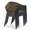 Euro Style Iselin Outdoor Armchair