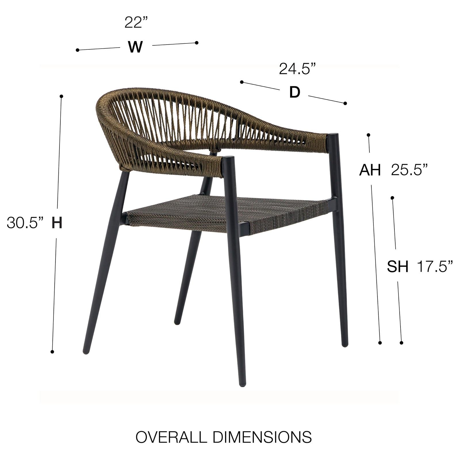 Euro Style Iselin Outdoor Armchair