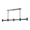Hudson Valley Lighting Predock 5 Light 57 inch Black Brass Island Light Ceiling Light
