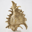 Global Views Brass Spider Conch Shell Sculpture