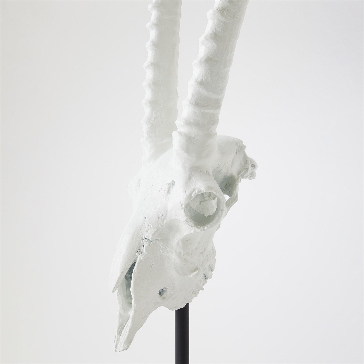 Global Views Matte White Gemsbok Skull Sculpture