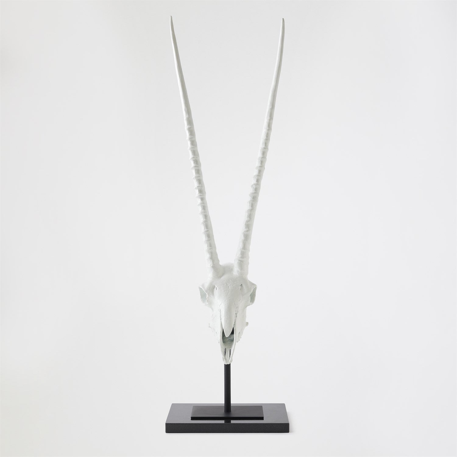 Global Views Matte White Gemsbok Skull Sculpture