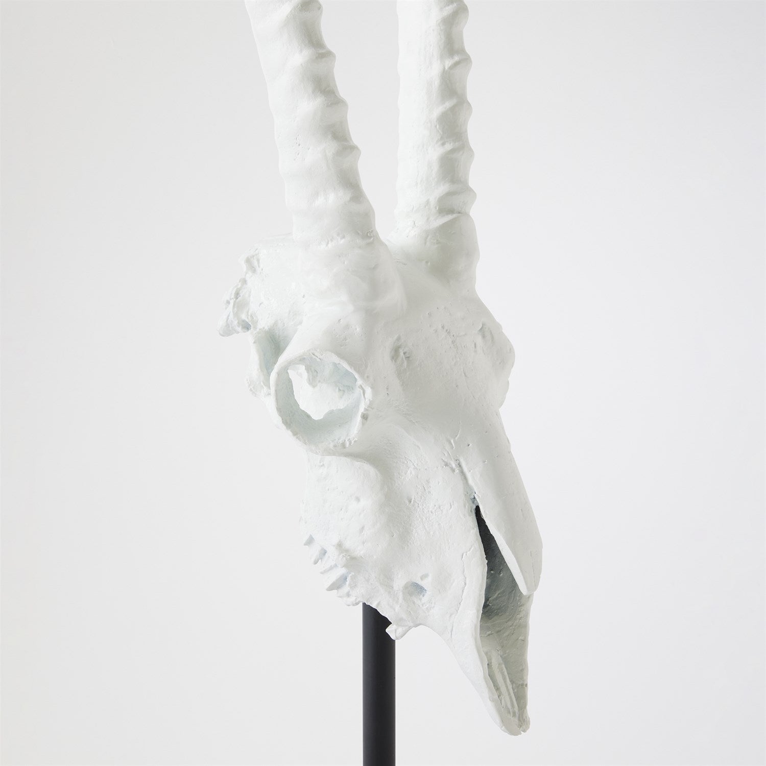 Global Views Matte White Gemsbok Skull Sculpture