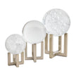 Arteriors Macarthur Sculptures, Set of 3