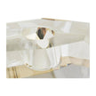 Arteriors Violet Candle Holders, Set of 3