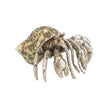 Chelsea House Hermit Crab Paperweight