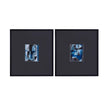 BMC Leo Framed Print -  Set of 2