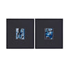 BMC Leo Framed Print -  Set of 2