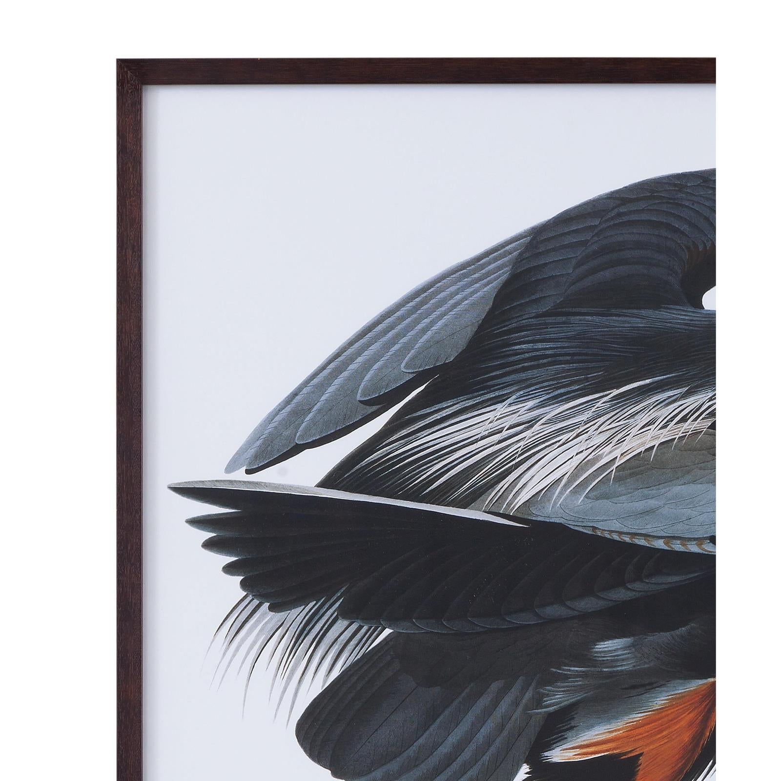 Bassett Mirror Audubon Great Blue Heron Framed Print