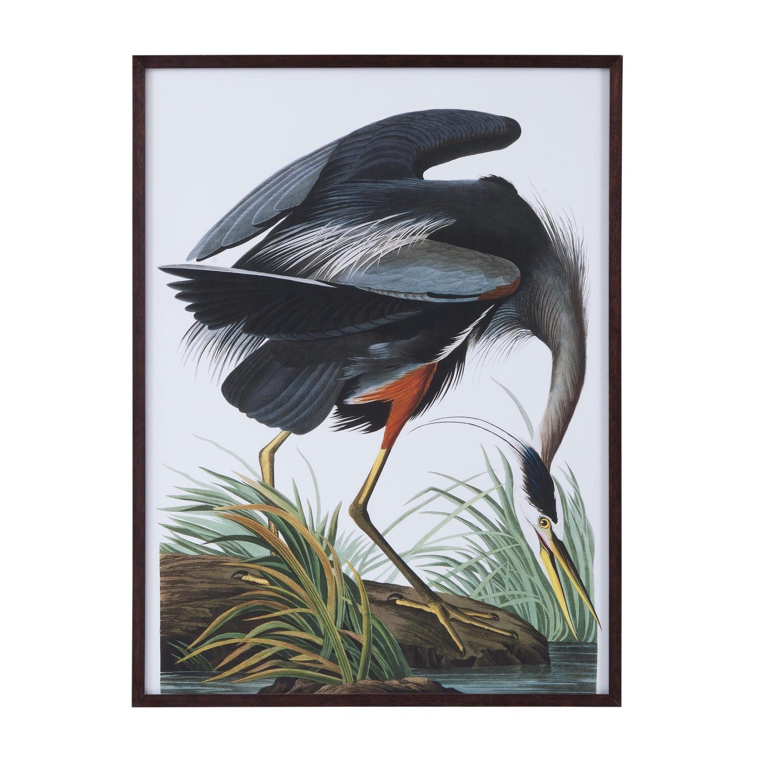 Bassett Mirror Audubon Great Blue Heron Framed Print