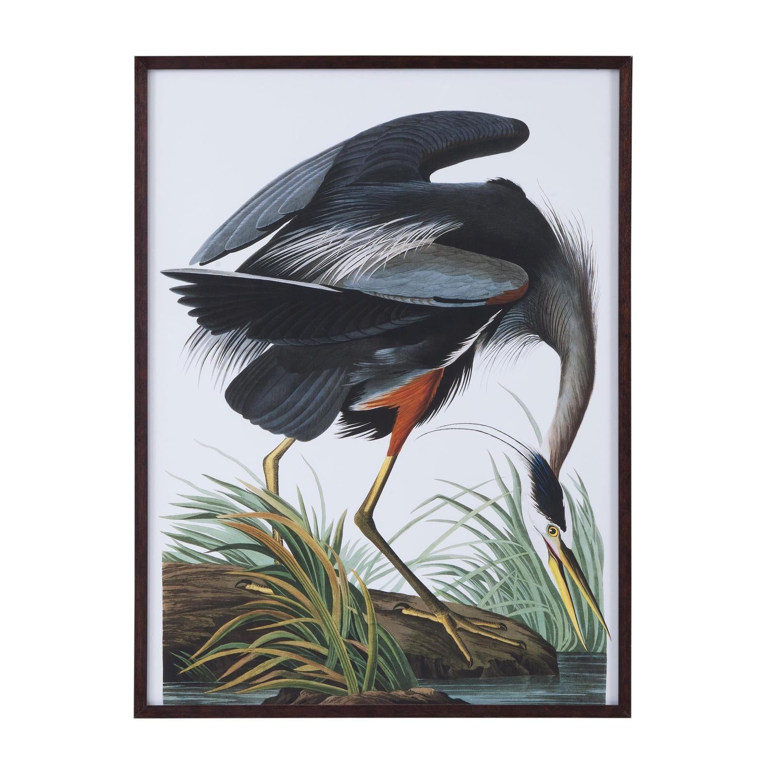 Bassett Mirror Audubon Great Blue Heron Framed Print