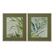 Bassett Mirror Green Palm Framed Print - Set of 2