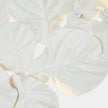 Global Views Fiddle Fig Lighted Wall Decor