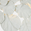 Global Views Fiddle Fig Lighted Wall Decor