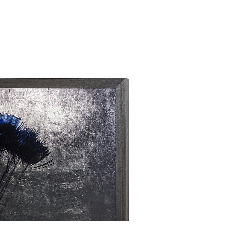 Sunpan The Peacock Charcoal Frame