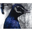 Sunpan The Peacock Charcoal Frame