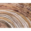 Sunpan Turning Point Brown Floater Frame