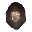 Uttermost Obscura Outdoor Bowl
