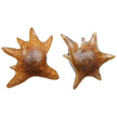 Uttermost Starpetal Indoor-Outdoor Wooden Bowls - Set of 2