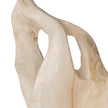 Uttermost Hollow Form Indoor-Outdoor Teak Sculpture