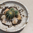 Uttermost Quarried Stone Indoor-Outdoor Bowl