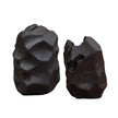 Uttermost Ember Root Teak Sculpture - Set of 2