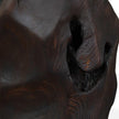 Uttermost Ember Root Teak Sculpture - Set of 2